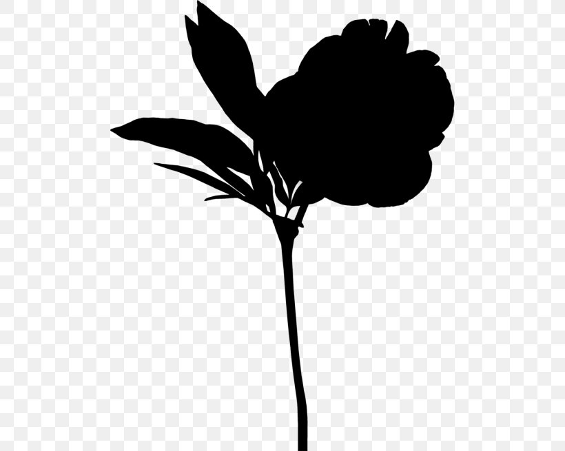 Leaf Plant Stem Clip Art Silhouette Flowering Plant, PNG, 500x655px, Leaf, Black M, Blackandwhite, Botany, Branching Download Free