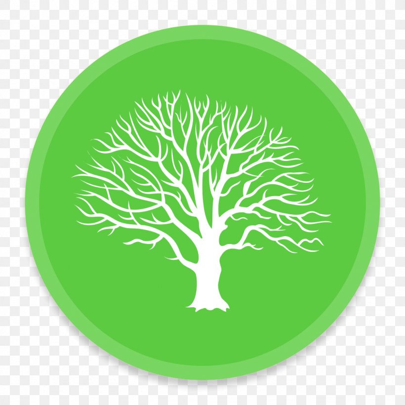 Plant Flora Leaf Tree Font, PNG, 1024x1024px, Ashland, Bachelor S Degree, Branch, College, Covington Download Free