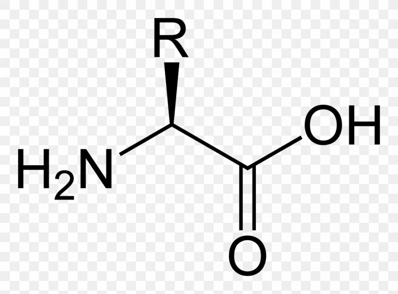 Proteinogenic Amino Acid Aspartic Acid Amine, PNG, 1100x815px, Amino Acid, Acid, Alanine, Amine, Area Download Free