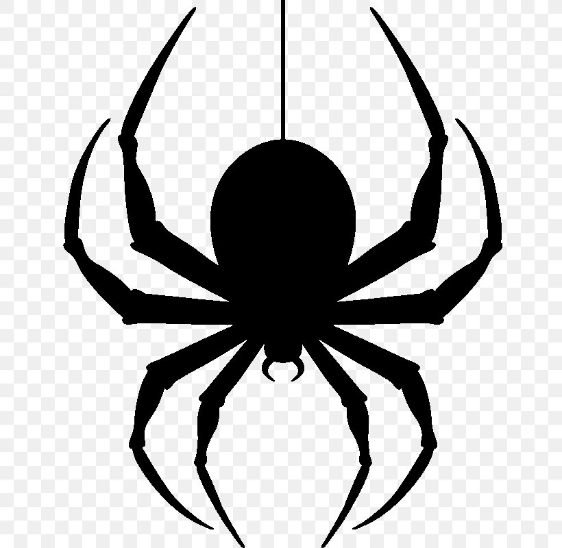 Spider Clip Art, PNG, 800x800px, Spider, Arachnid, Arthropod, Artwork, Black And White Download Free