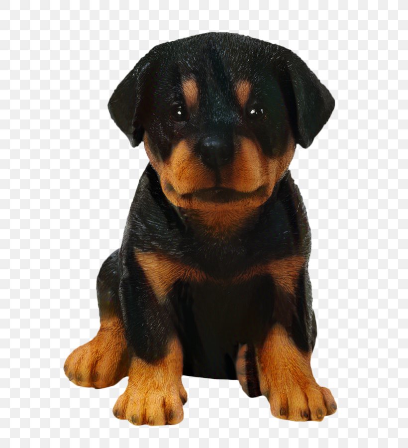 Cartoon Dog, PNG, 648x900px, Rottweiler, Animal Figure, Austrian Black And Tan Hound, Black And Tan Terrier, Boxer Download Free