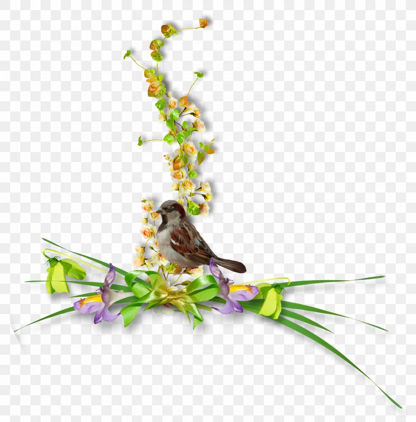 Floral Design Flower Clip Art, PNG, 2995x3044px, Floral Design, Bird, Collar, Designer, Flora Download Free