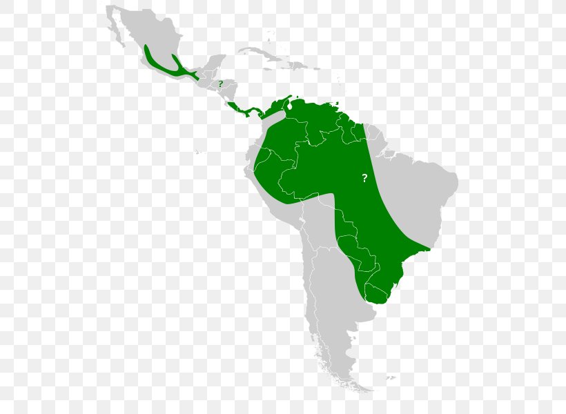 South America Latin America Clip Art United States Of America Map, PNG, 555x600px, South America, Americas, Geography, Grass, Green Download Free