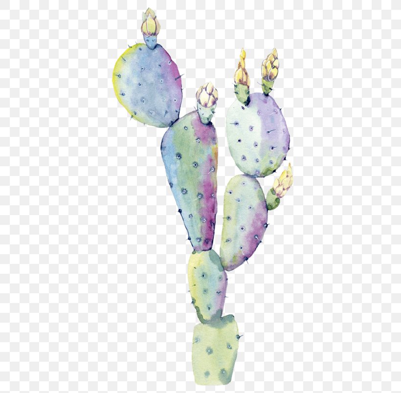 Succulent Plant Watercolor: Flowers Watercolor Painting Cactus Saguaro, PNG, 804x804px, Succulent Plant, Art, Barbary Fig, Cactus, Desert Download Free