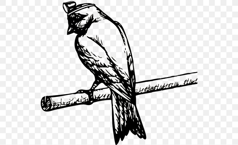 Canary sitting on finger sketch Royalty Free Vector Image