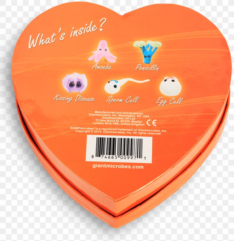 GIANTmicrobes Microorganism Heart Box Gift, PNG, 900x927px, Watercolor, Cartoon, Flower, Frame, Heart Download Free