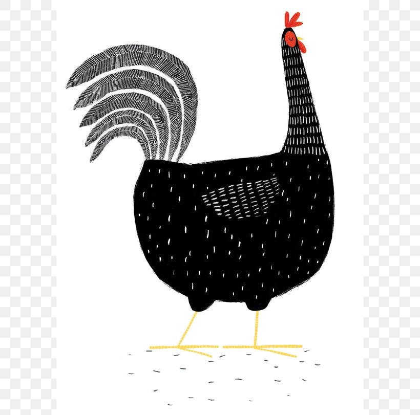 Plymouth Rock Chicken Hen Drawing Illustrator, PNG, 600x811px, Plymouth Rock Chicken, Art, Beak, Bird, Chicken Download Free