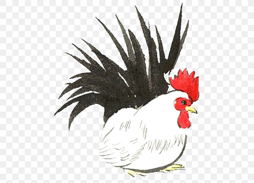Rooster Chicken White Illustration, PNG, 500x590px, Rooster, Beak, Bird, Chicken, Feather Download Free