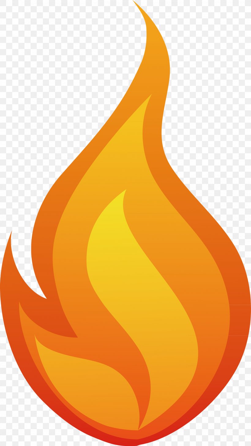 Flame Fire Clip Art, PNG, 1466x2603px, Flame, Calabaza, Cartoon, Combustion, Cool Flame Download Free