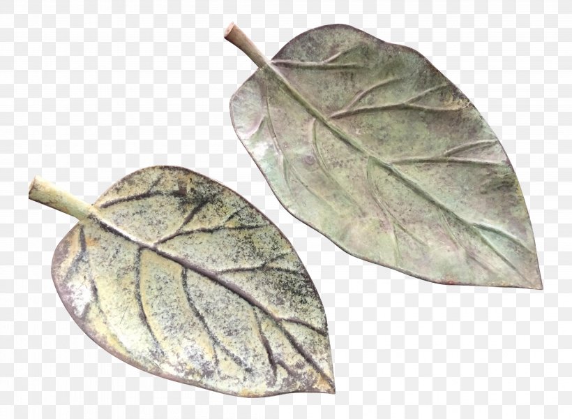 Leaf Plant, PNG, 4196x3071px, Leaf, Plant Download Free