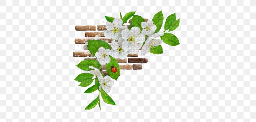 Animation Flower Tenor, PNG, 400x391px, Animation, Blossom, Branch, Cut Flowers, Floral Design Download Free