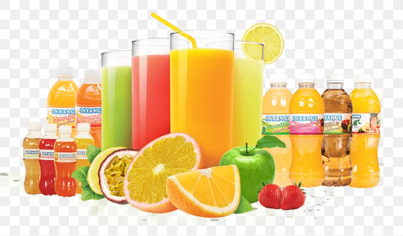 Apple Juice Fizzy Drinks Inyange Industries Orange Juice, PNG, 970x570px, Juice, Apple Juice, Citric Acid, Concentrate, Diet Food Download Free