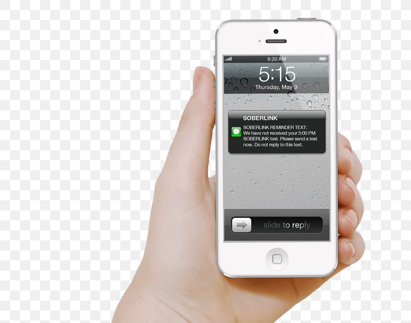 IPhone Technical Support Smartphone, PNG, 650x645px, Iphone, Android, App Store, Communication Device, Computer Software Download Free