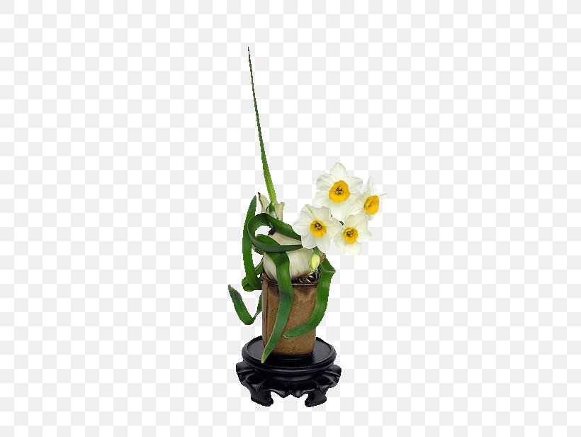 Bunch-flowered Daffodil Amazon Lily Bulb Sina Corp Amaryllidaceae, PNG, 466x616px, Bunchflowered Daffodil, Amaryllidaceae, Amazon Lily, Blog, Bulb Download Free