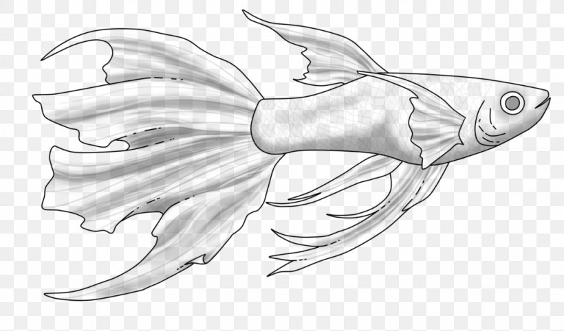 Guppy Fish This Is Not For Free Marine Biology Sketch, PNG, 1024x602px, 5 January, Guppy, Artwork, Biology, Black And White Download Free