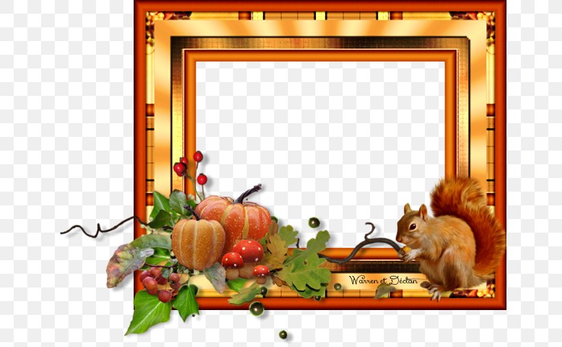 Picture Frames Photography 440s, PNG, 659x507px, Picture Frames, Decor, Floral Design, Flower, Media Download Free