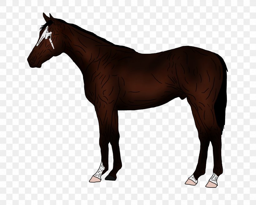 Thoroughbred American Paint Horse American Quarter Horse Stallion Black Forest Horse, PNG, 2500x2000px, Thoroughbred, American Paint Horse, American Quarter Horse, Animal, Black Download Free