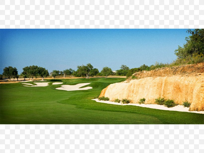 Golf Course Recreation Golf Clubs Grassland, PNG, 1024x768px, Golf Course, Countdown, Field, Golf, Golf Club Download Free