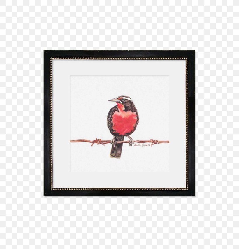 Paper Picture Frames Watercolor Painting Artist, PNG, 570x855px, Paper, Artist, Beak, Bird, Chicken Download Free