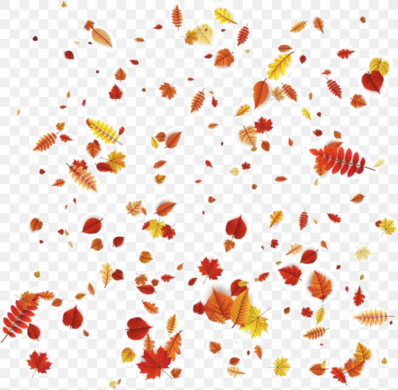 Petal Floral Design Orange Pattern, PNG, 854x839px, Leaf, Autumn, Autumn Leaves, Branch, Clip Art Download Free