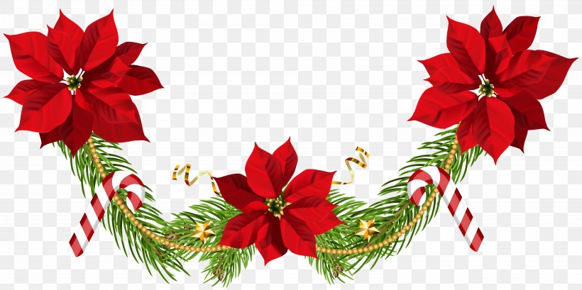 Poinsettia Christmas Garland Clip Art, PNG, 8000x3998px, Poinsettia, Christmas, Christmas Decoration, Christmas Ornament, Christmas Tree Download Free