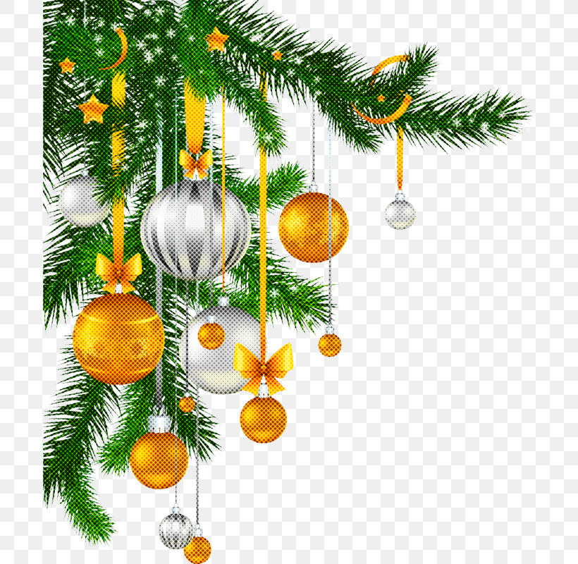 Christmas Tree, PNG, 700x800px, Branch, American Larch, Christmas, Christmas Decoration, Christmas Eve Download Free
