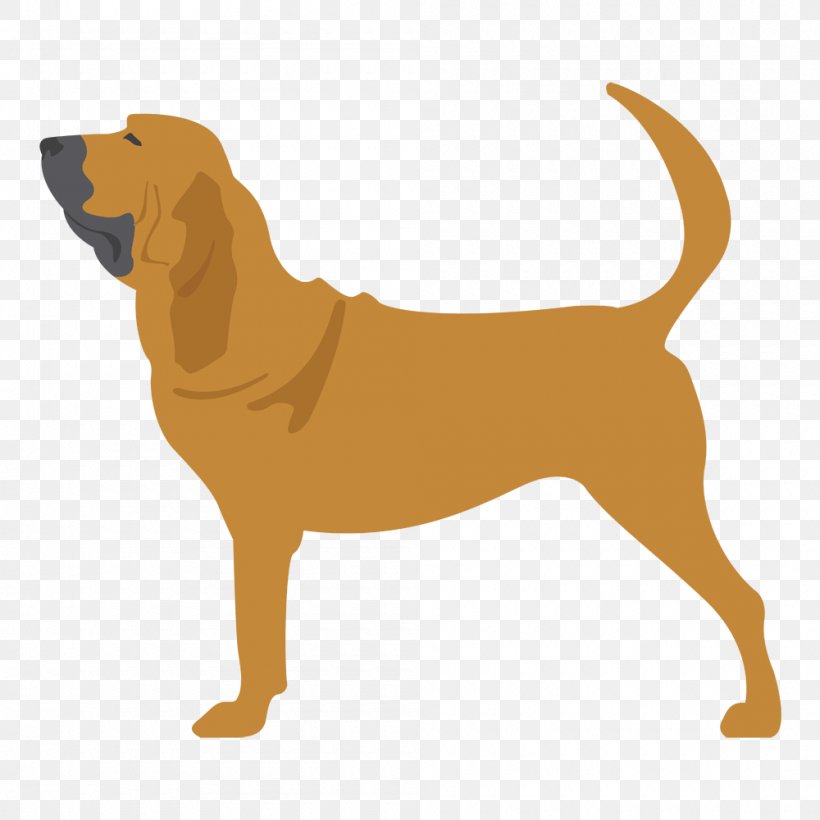 Dog Breed Puppy Companion Dog English Cocker Spaniel Sabueso Español, PNG, 1000x1000px, Dog Breed, Breed, Carnivoran, Chesapeake Bay Retriever, Companion Dog Download Free