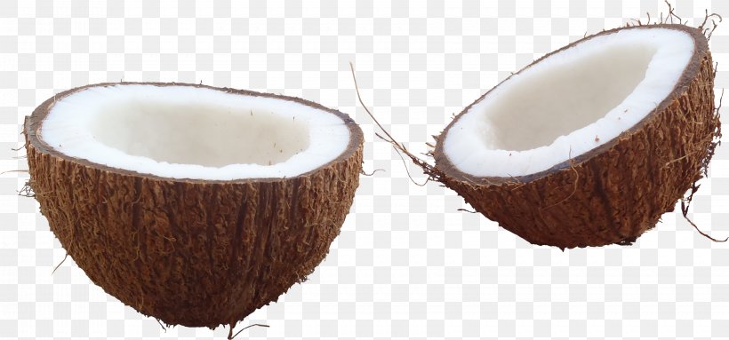 Coconut Water Clip Art, PNG, 3403x1590px, 3d Computer Graphics, Coconut, Arecaceae, Coconut Water, Cup Download Free