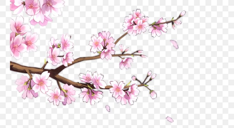 Common Plum Plum Blossom, PNG, 750x450px, Common Plum, Ameixeira, Blossom, Branch, Cherry Blossom Download Free
