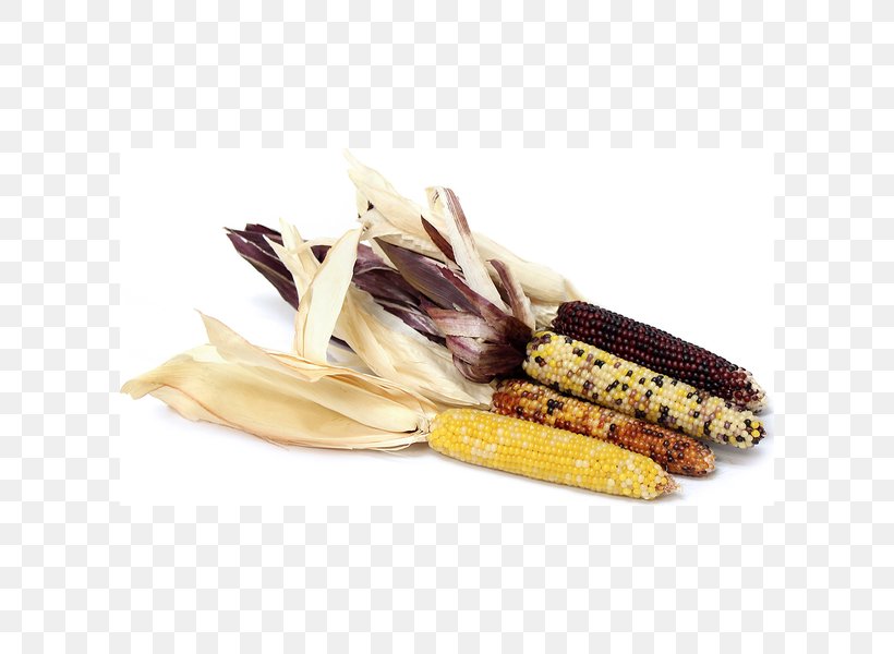 Flint Corn Baby Corn Ingredient Grocery Store Waxy Corn, PNG, 600x600px, Flint Corn, Baby Corn, Commodity, Corncob, Flour Download Free