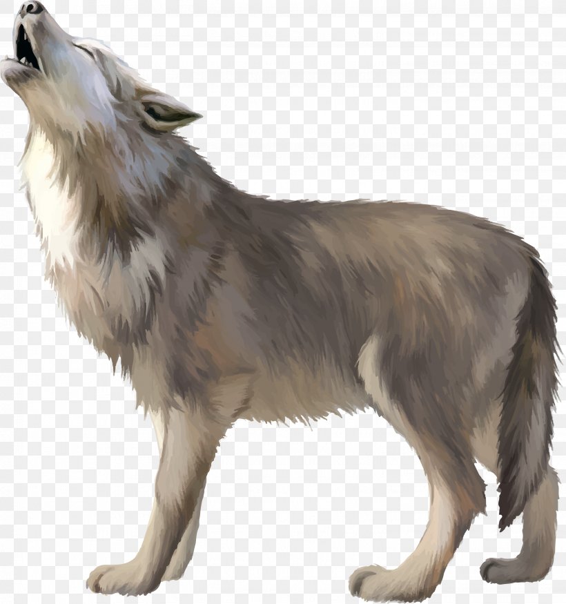 Gray Wolf Download, PNG, 3041x3246px, Gray Wolf, Carnivoran, Chart, Computer Graphics, Coyote Download Free