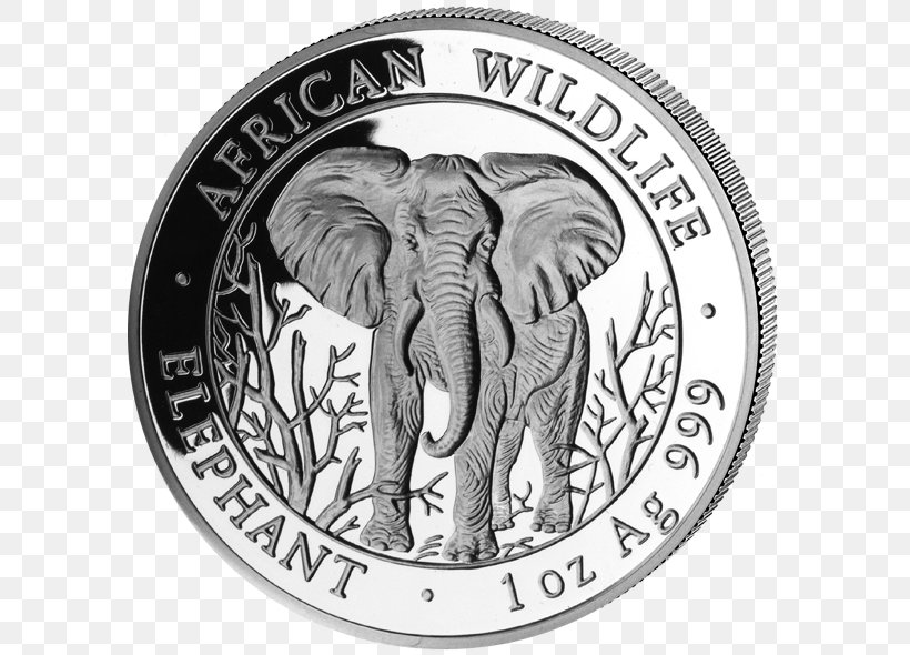 Silver Toboso National High School Coin Somalia Bullion, PNG, 600x590px, Silver, African Elephant, Black And White, Bullion, Coin Download Free