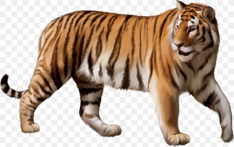 Bengal Tiger Siberian Tiger Felidae White Tiger, PNG, 973x610px, Bengal Tiger, Animal, Big Cat, Big Cats, Carnivoran Download Free