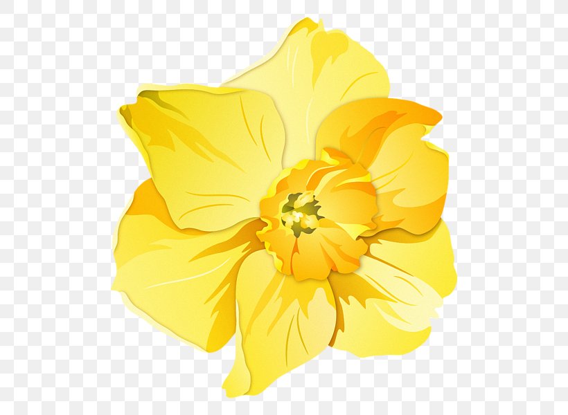 Daffodil Pin Badges T-shirt Zazzle Clothing Accessories, PNG, 600x600px, Daffodil, Amaryllis Family, Art, Badge, Clothing Accessories Download Free