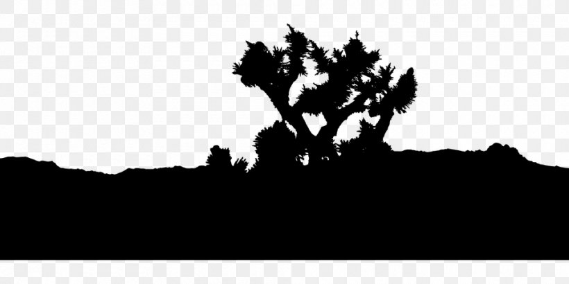 Joshua Tree National Park Kings Canyon National Park Sequoia National Park Morrocoy National Park Great Smoky Mountains National Park, PNG, 960x480px, Joshua Tree National Park, Black, Black And White, Branch, Great Smoky Mountains National Park Download Free