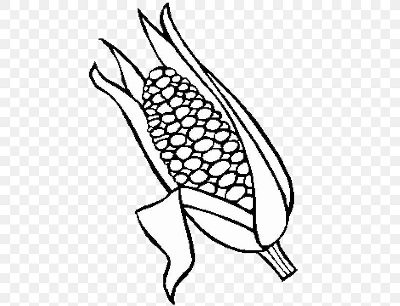 Maize Drawing Corncob Painting Food, PNG, 500x627px, Maize, Alban Hefin ...