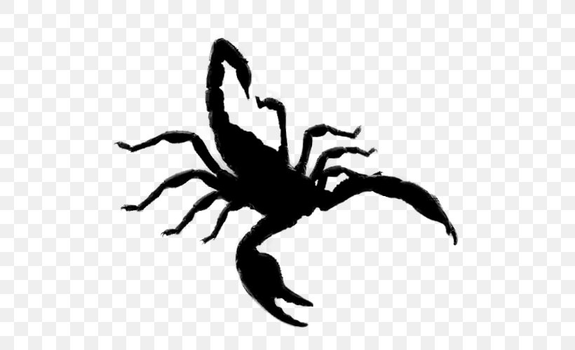Scorpion Arachnid Insect Clip Art Silhouette, PNG, 500x500px, Scorpion, Arachnid, Arthropod, Decapoda, Insect Download Free