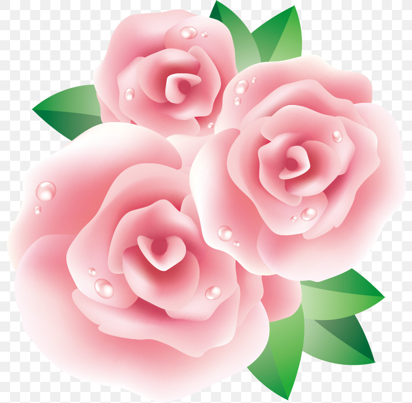 Three Flowers Three Roses Valentines Day, PNG, 800x802px, Three Flowers, Camellia, Floribunda, Flower, Garden Roses Download Free