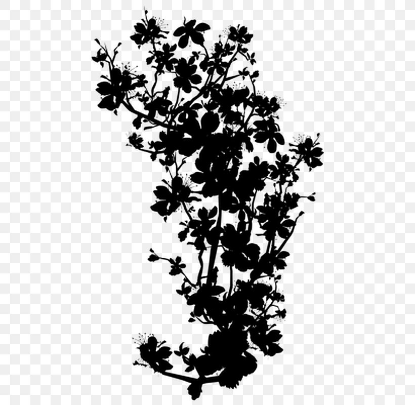 Twig Plant Stem Flower Leaf Silhouette, PNG, 480x800px, Twig, Blackandwhite, Botany, Branch, Flower Download Free