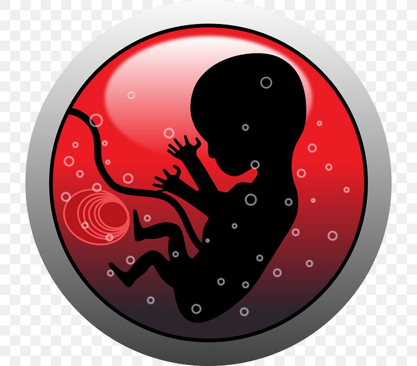 Fetus Human Embryogenesis Clip Art, PNG, 720x720px, Fetus, Abortion, Embryo, Fictional Character, Human Embryogenesis Download Free