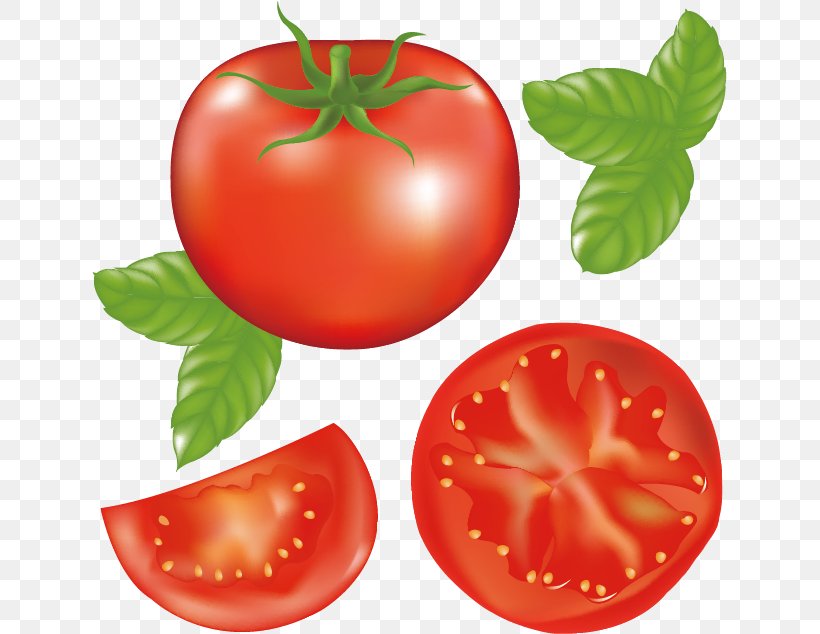 Tomato Juice Hamburger Clip Art, PNG, 635x634px, Tomato Juice, Apple, Bush Tomato, Diet Food, Drawing Download Free