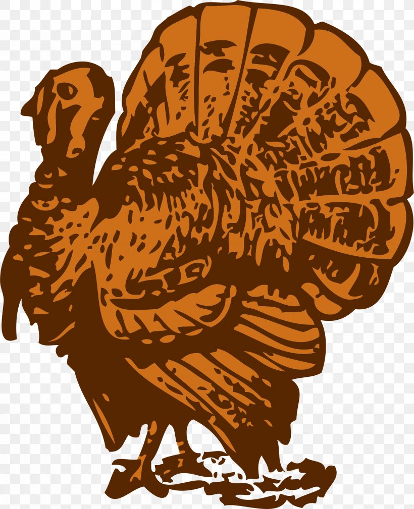 Turkey Meat Clip Art, PNG, 1950x2400px, Turkey, Beak, Bird, Chicken, Domesticated Turkey Download Free