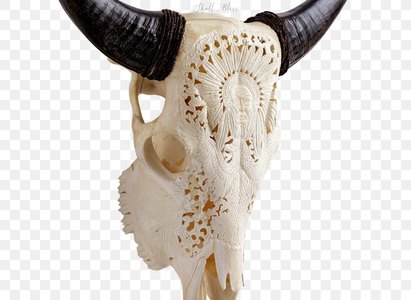 Skull XL Horns Cattle Skeleton, PNG, 600x600px, Skull, American Bison, Americans, Barbed Wire, Bone Download Free