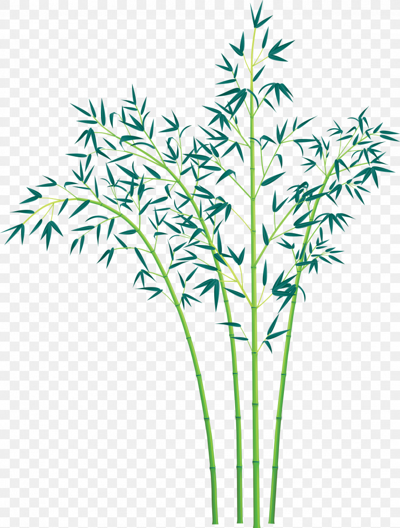 Bamboo Leaf, PNG, 2273x3000px, Bamboo, Flower, Grass, Grass Family, Heracleum Plant Download Free