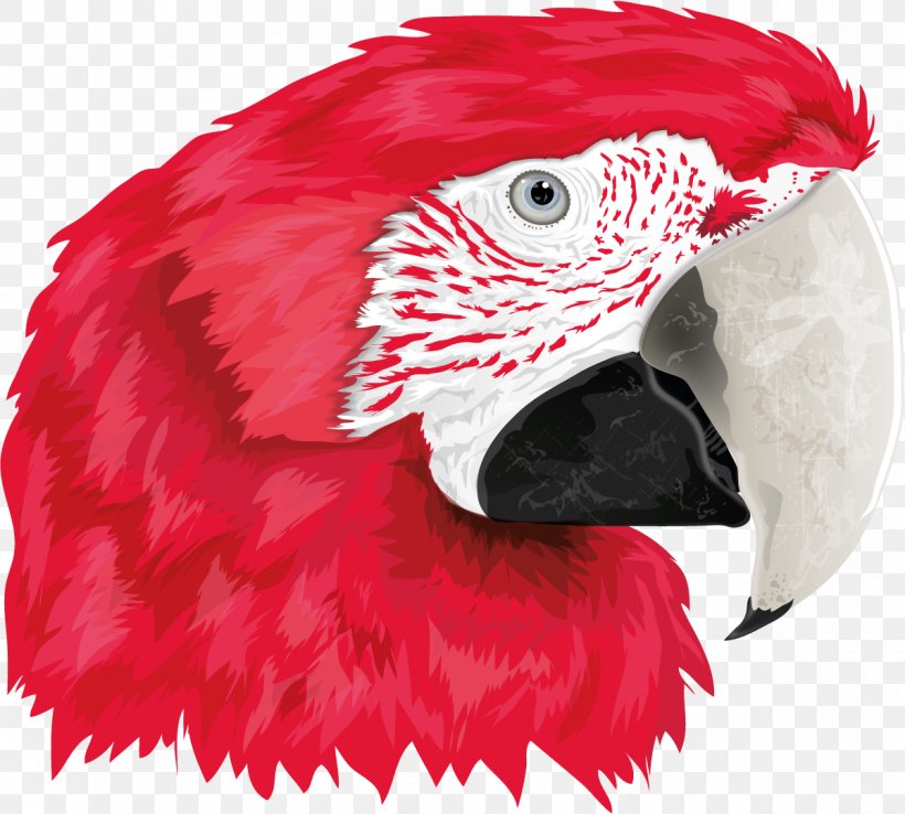 Macaw Beak Feather Wing Close-up, PNG, 1200x1081px, Macaw, Beak, Bird, Closeup, Feather Download Free