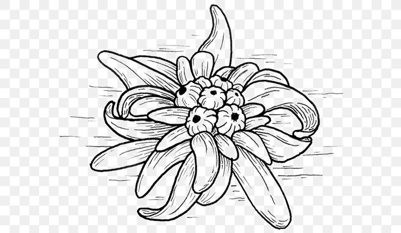Floral Design Drawing Monochrome, PNG, 600x476px, Floral Design, Artwork, Black And White, Cut Flowers, Drawing Download Free