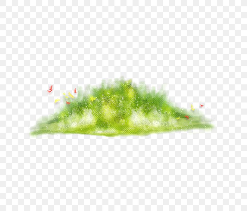 Grass Download Clip Art, PNG, 700x700px, Grass, Grass Family, Green, Herbaceous Plant, Lawn Download Free