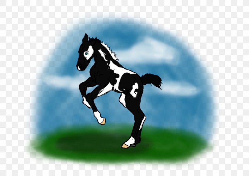 Stallion Mustang Colt Halter Pony, PNG, 965x682px, Stallion, Colt, Equestrian, Equestrian Sport, Grass Download Free