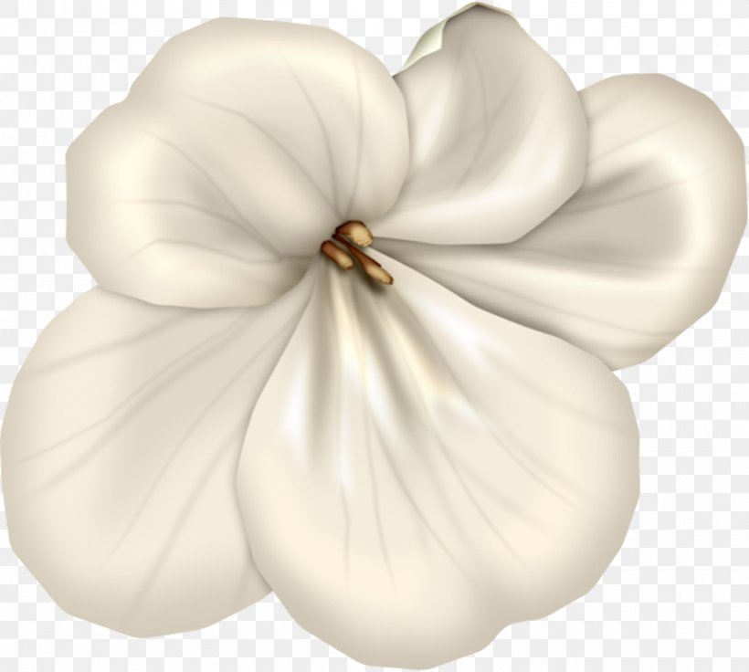 White Mallows Family, PNG, 860x772px, White, Black And White, Family, Flower, Mallow Download Free