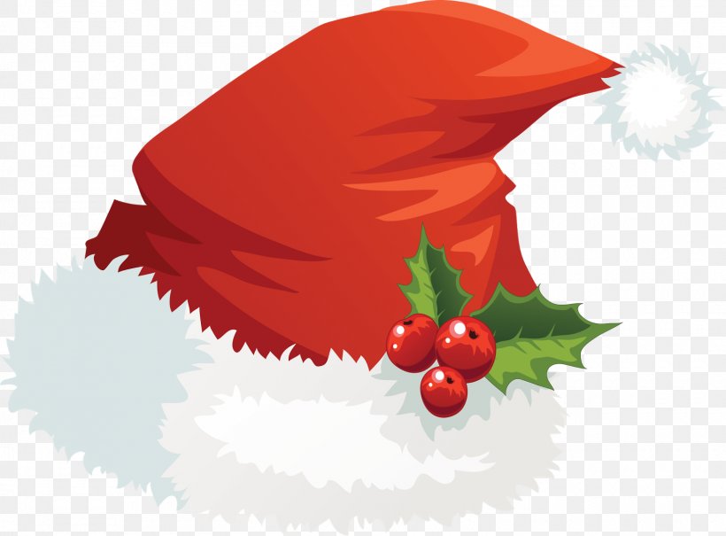 Santa Claus Santa Suit Hat Clip Art, PNG, 1600x1182px, Santa Claus, Cap, Christmas, Christmas Elf, Christmas Ornament Download Free